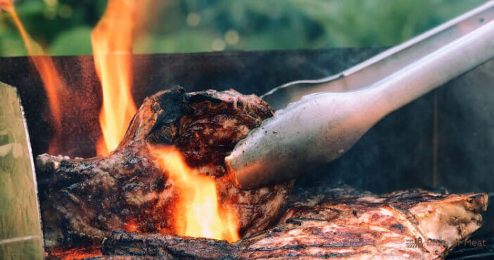 Best Grill Tongs