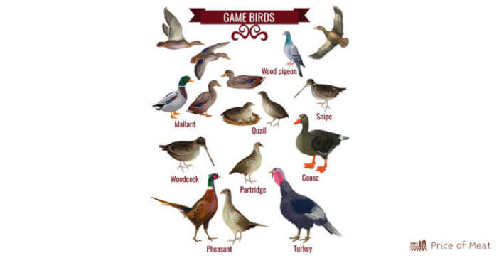 7-types-of-game-birds-to-enhance-your-hunting-experience