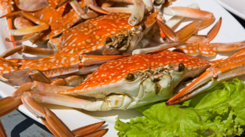 5 Ways To Tell If Crab Is Cooked And Avoid Undercooking Mistakes