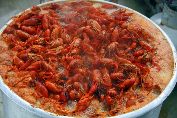 Crawfish in a pot of boiling spicy water.
