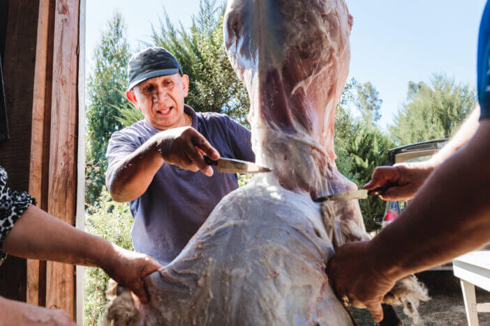 Front view indigenous latin man butchering and skinning a hanging lamb with a knife in his country house. Patagonian traditions