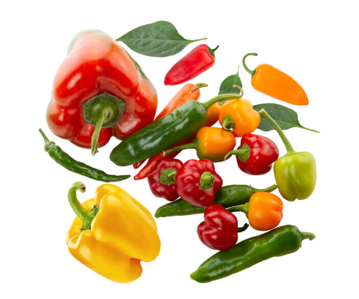 Assorted colorful varieties of hot and sweet peppers isolated on white background