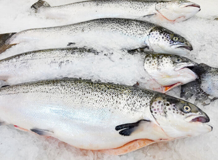 Fresh salmon on an ice