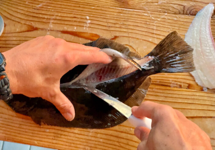 Cleaning a flounder fish on a dock.