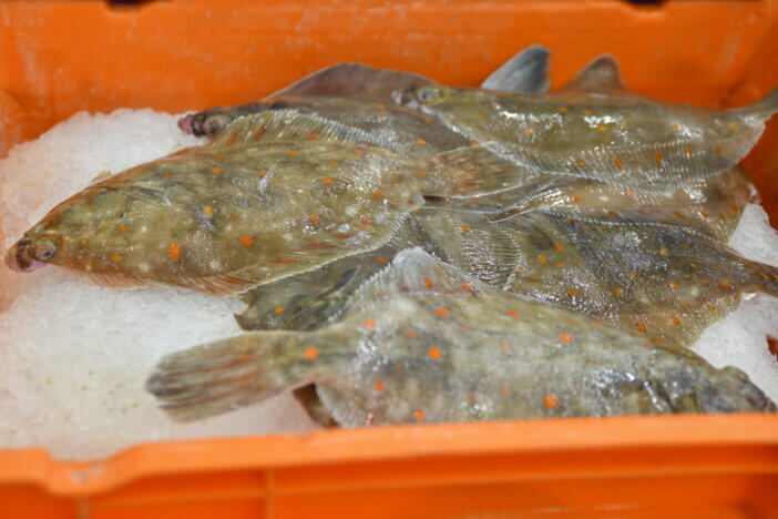 flounder in the market