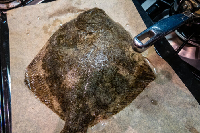 Bastad, Sweden A whole fresh turbot on a pan with wax paper  in the kitchen waiting for the oven.