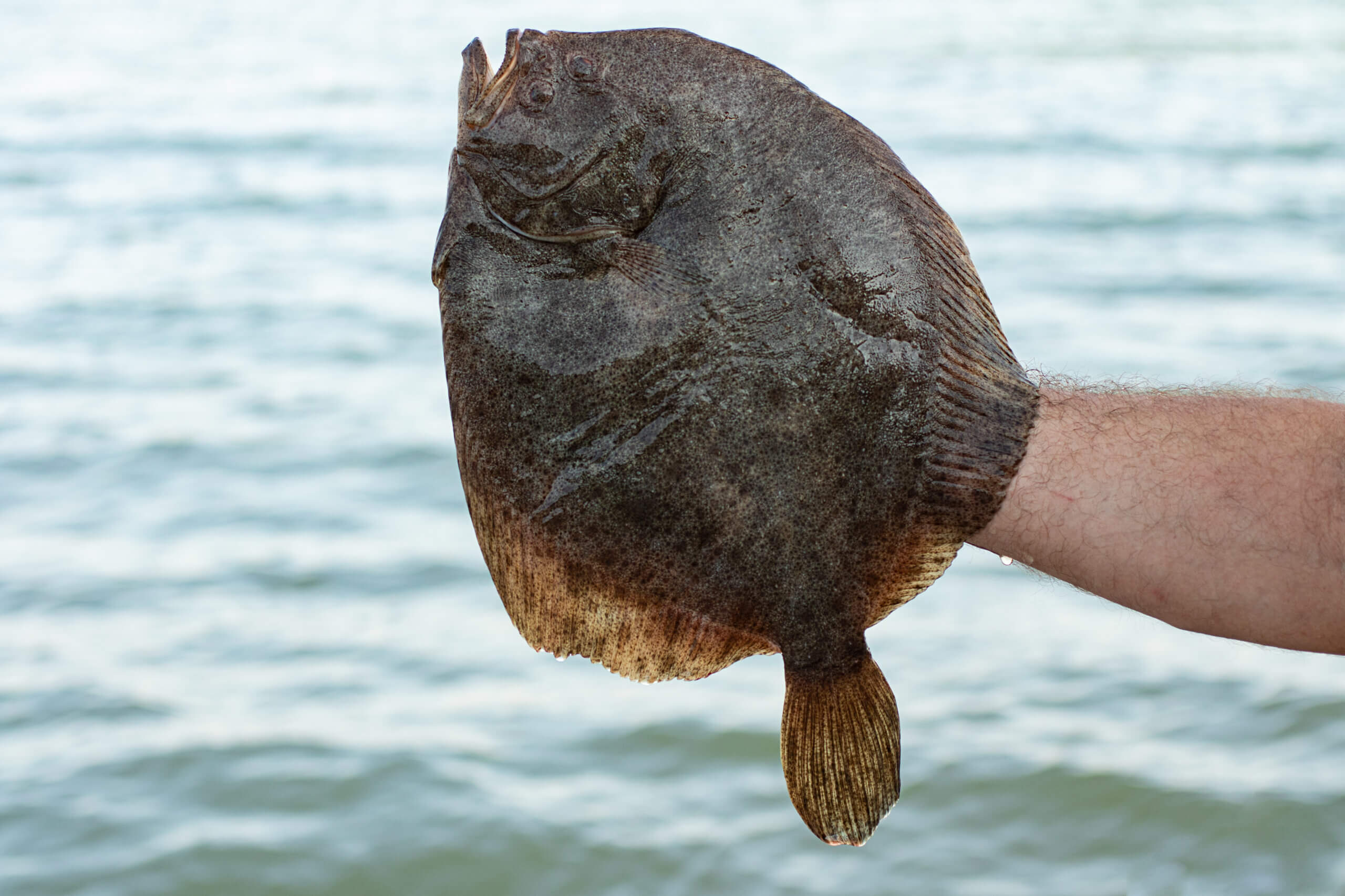 should you wash flounder before cooking