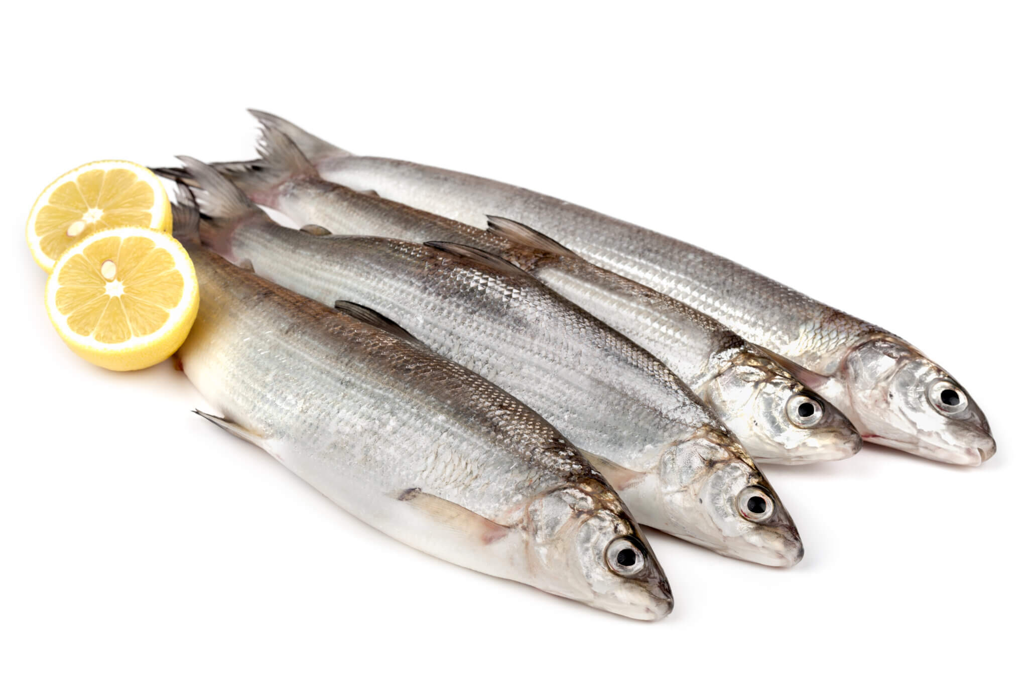 10 White Fish Health Benefits You Need to Know for Better Well-being