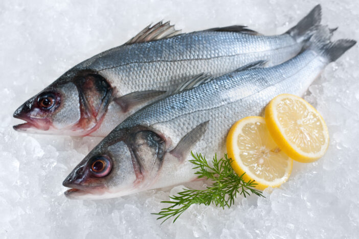 Seabass (Dicentrarchus labrax) on ice at the fish market