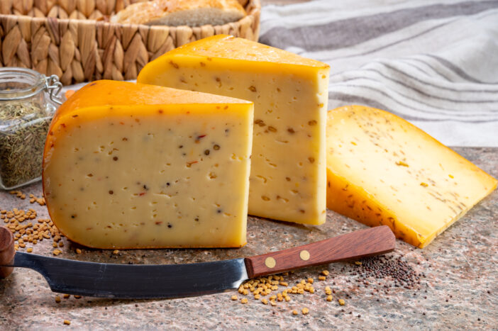 Cheese collection, pieces of hard yellow Dutch gouda cheese with dried caraway, mustard, cumin, fenugreek, pepper seeds close up