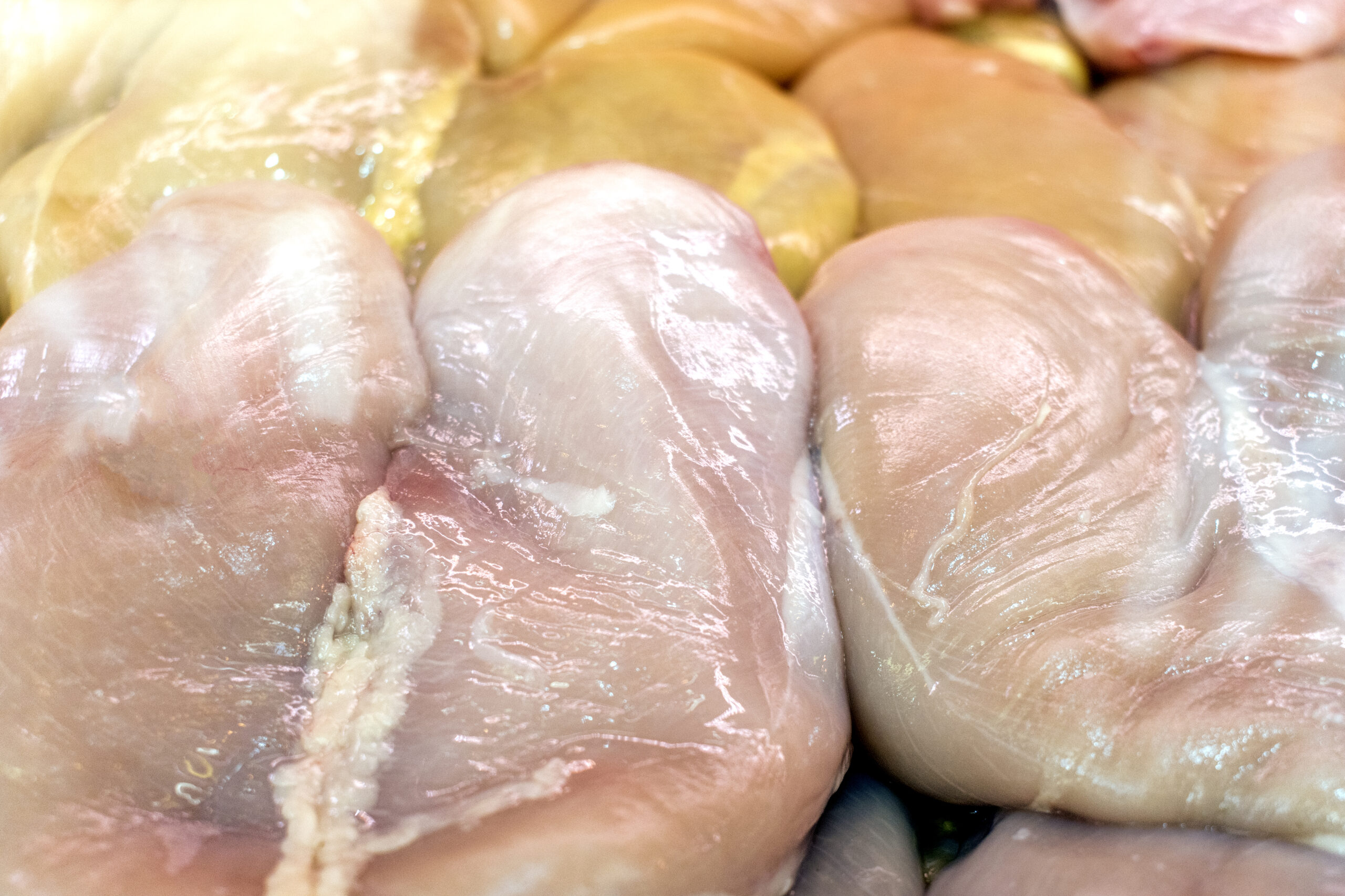 Premium Chicken Breasts: Explore top-grade, uncooked chicken breasts at the butcher shop, great for delicious homemade meals.