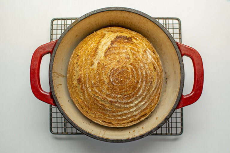 Whole wheat bread loaf baked in dutch oven iron cast pot fresh from the oven, pure levain recipe