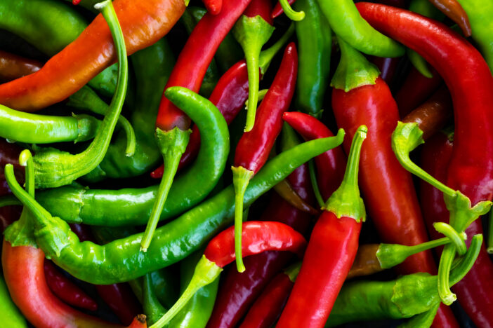 Close up photo of green and red chilli pepper hanging on twig in the farmyard.