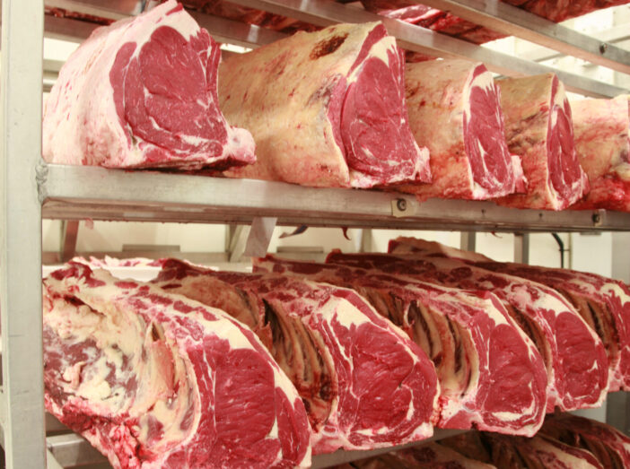 Cuts of beef on shelves in an abattoir maturing.