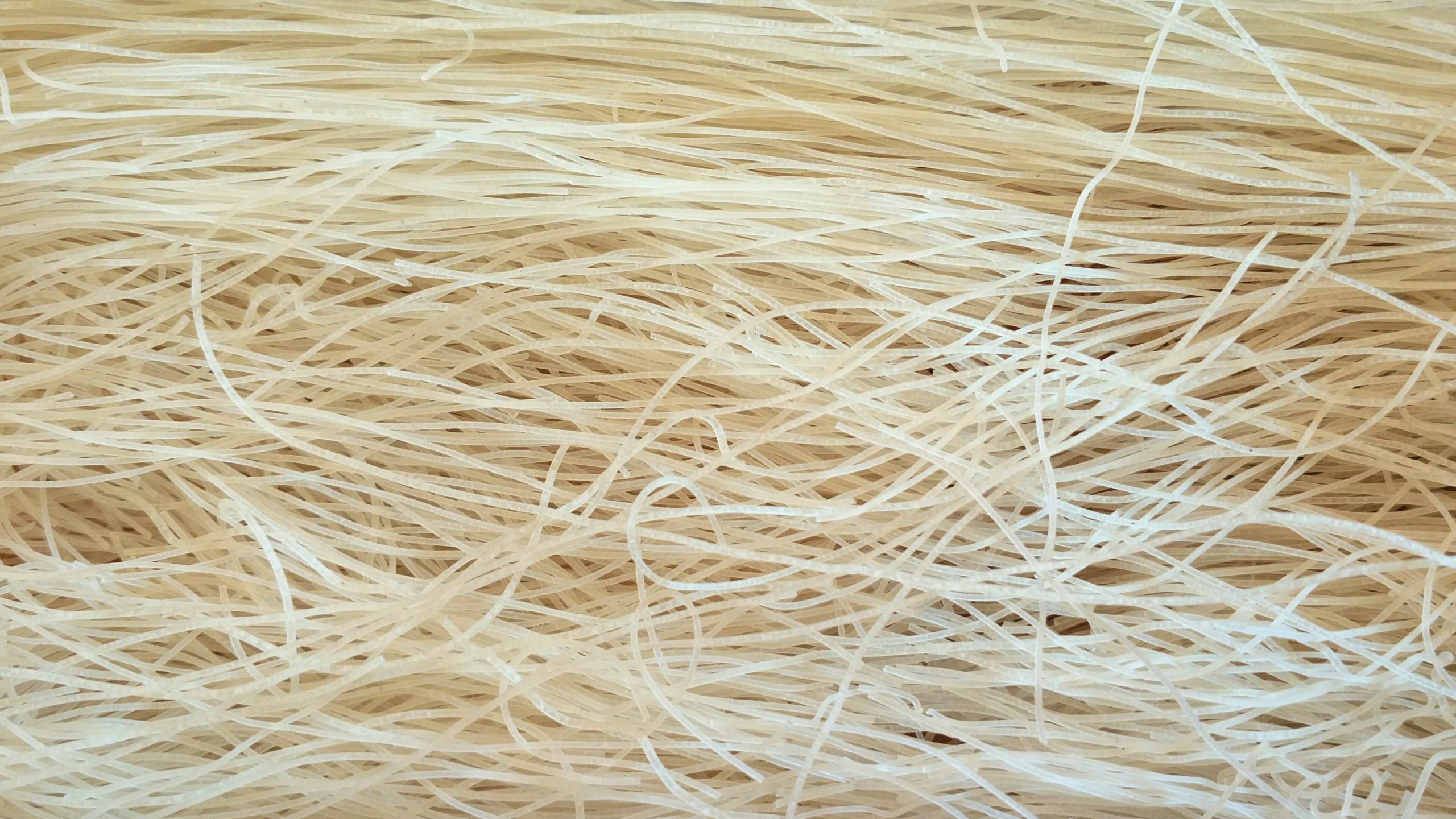 Rice Vermicelli