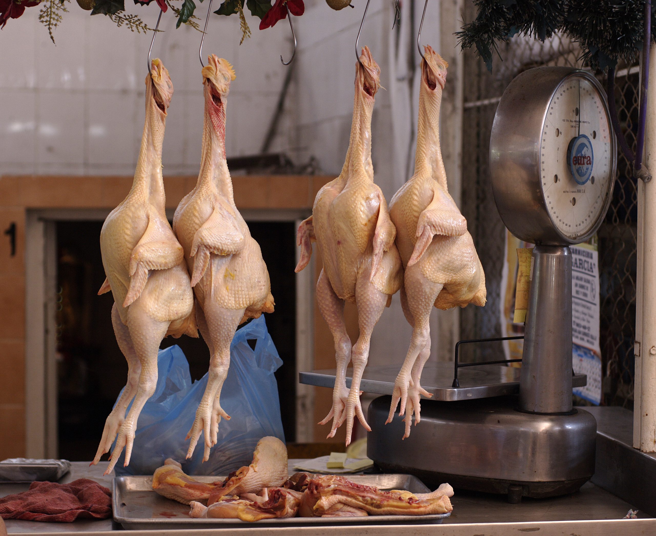 Chicken Thigh
